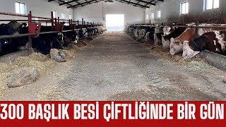 BESİ ÇİFTLİĞİNDE BİR GÜN / BUZAĞI HASTALIKLARI