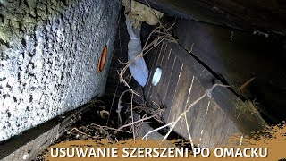 Usuwanie gniazda szerszeni po omacku  - usuwanie gniazda owadów