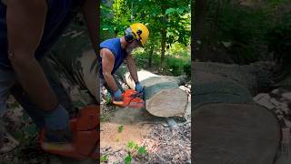 Cutting slabs for my boy !! Chop chop ,@MindlessBuilders #chainsawman #wood #slabs #woods #fun