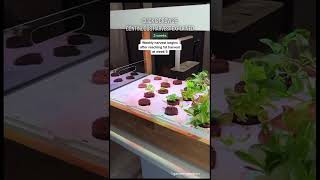 The Click & Grow 25 indoor garden explained #shorts