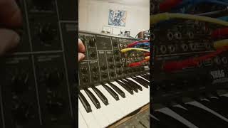 korg ms20 bi-timbral mode (seq+bass)