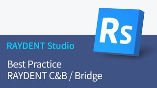 Best Practice - RAYDENT C&B / Bridge