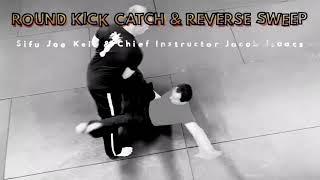 Round Kick Counter - Catch & Sweep