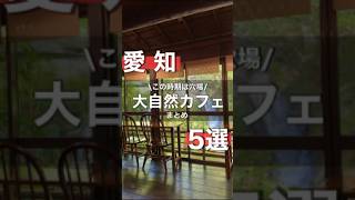 【愛知】ラストチャンス！愛知の大自然カフェを5店舗紹介！