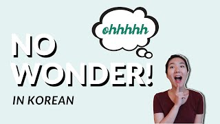 How to Say "NO WONDER!" in Korean