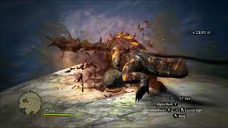 Dragon's Dogma - Fun and Efficient Strider (pt.9) - Random Questing