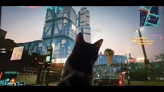 Cyberpunk 2077 v2.02. Покатулі та квестулі. Частина 27