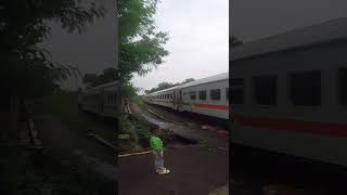 BOCIL RAILFANS CITA-CITA JADI MASINIS | AYAM HAMPIR TERLINDAS #shorts  #keretaapiindonesia #cc206