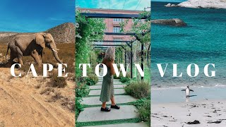 CAPE TOWN VLOG 2024 // what to do in South Africa