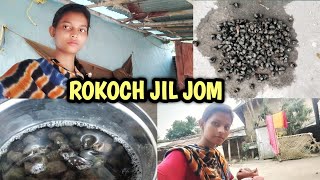 Rokoch Jil jom santali  vlog video Tina murmu vlog