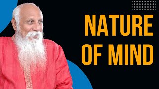 Nature of Mind | Patriji's