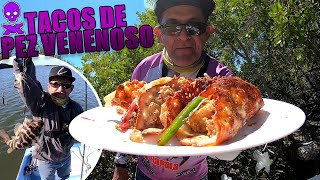 TACOS A LA COSTRA DE QUESO CON PEZ VENENOSO | Lupe Lofish