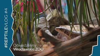 Odwiedziliśmy ZOO we Wrocławiu - Oceanarium, Afrykarium