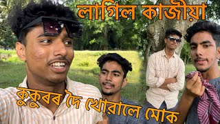 কুকুৰৰ দৈ খালে কোনে#assamesevlog #funnyvideo