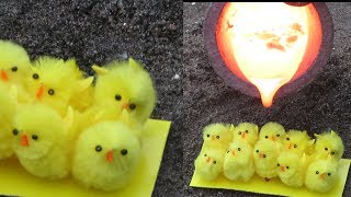 EXPERIMENT: LAVA vs Chicken.