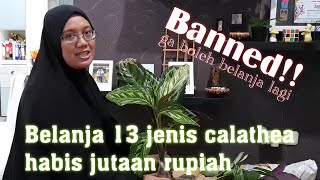 [ENG SUB] Unboxing Paket Tanaman Hias dari Batam dan Bandung | Plant Unboxing