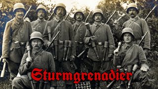 Sturmgrenadier | Sturmmann | Verdun