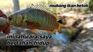 ini lah cara saya bertahan hidup:memancing ikan demi lauk makan