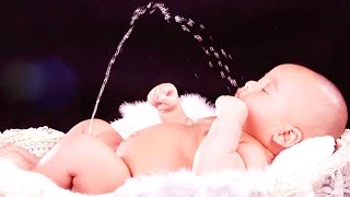 Funniest Baby Videos of the Week - Ultimate Try Not To Laugh Challenge - Part 12