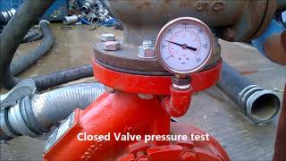 PE8809 Baltic block electric motor pump test #Pumps | Stuart Pumps Ltd - Pump Sales & Services