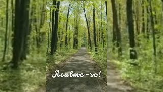 Relaxar a Mente eo corpo | Acalme-se com a Natureza