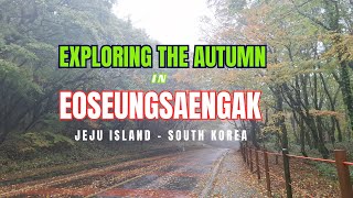 Mendaki dan Menikmati Musim Gugur di Eoseungsaengak Hiking Trail Pulau Jeju Korea Selatan