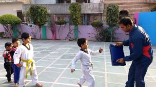 Practice session of Taekwondo Class