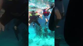 Snorkeling Gili meno #music #calmdown #love #shortsvideo #viral