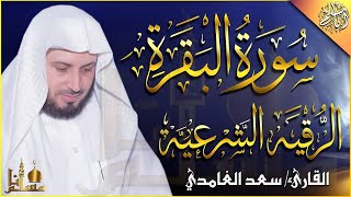 الرقية الشرعية بسورة البقرة القارئ سعد   الغامدي تلاوة عذبة هادئة   Surah Al Baqarah