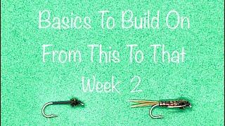 Basics To Build On (Week 2)