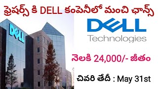 Dell కంపెనీ లో ఫ్రెషర్స్ కి జాబ్స్ || Dell off campus drive 2024 || degree వాళ్ళకి IT jobs ||