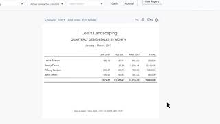 Customising Reports QB