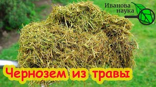 ТРАВА - ОСНОВА ПЛОДОРОДИЯ. Делаю травяной гумус чернозем осенью и урожай прёт как на дрожжах!