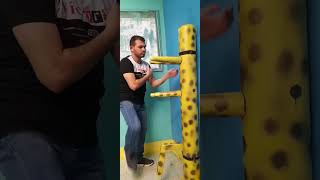 Wing Chun wooden dummy