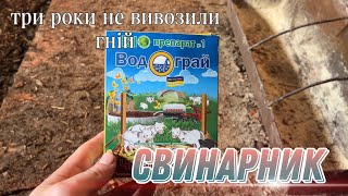 Cарай мрії. Вичещаю навоз раз в три роки. Так годувати свиней одне задоволення 🐷