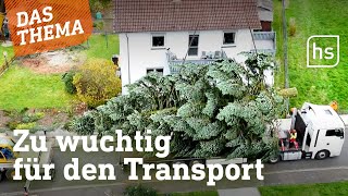 Weihnachtsbaum für Kassel braucht Sondergenehmigung | hessenschau DAS THEMA