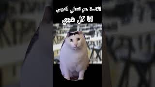 مين كمان هيك