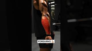 Vascular FOREARMS workout💪🏽 #shorts