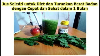 Cara Diet Menurunkan Berat Badan Alami dengan Jus Seledri