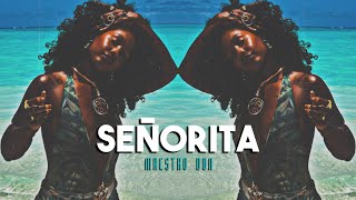 señorita - maestro don  (sped-up/fast)