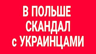 Скандал в Польше! В Польшу приехали украинки и вот что получилось!