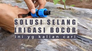 cara sambung selang irigasi tetes 💦