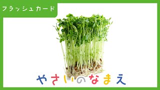 【野菜の名前②】語彙力がどんどん増える知育フラッシュカード