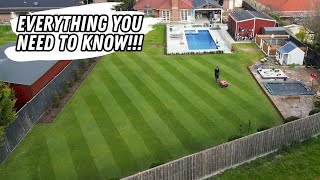 Full guide to preventing weeds in your lawn!!