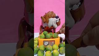 Maddog Dont Want to Eat #maddog #trendingshorts #asmr #asmrsatisfying #dog #viraldog