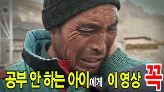 [감동영상] 꿈을 향한 끊임없는 도전 / 공부 안하는 아이에게 이 영상을 꼭 /  대구여행나라 / 여행은 몸으로 하는 독서