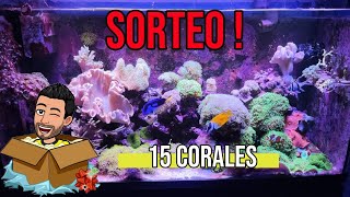 SORTEO de 15 CORALES