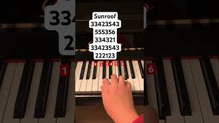 Sunroof by Nicky Youre and dazy // follow my ig: jessnotes123 #piano #pianotutorial #pianomusic