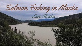 Salmon Fishing in Alaska | Live Alaska Vlogs | Copper River Chitina Alaska