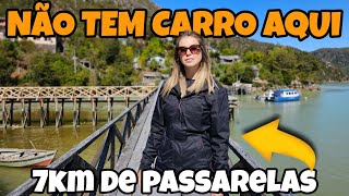 Essa é a cidade mais DIFERENTE de todo Chile | T2 Ep122 #caletatortel #carreteraaustral